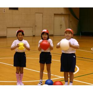 AKB ヤワラカボール F2004 学校器機グッズソノタの商品画像