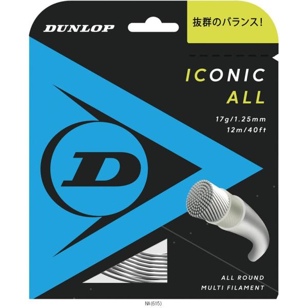 ダンロップテニス ＤＵＮＬＯＰ ICALLSTDST31001 DST31001 テニスコウシキガツ...