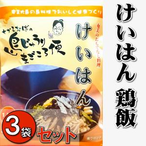 けいはん 鶏飯 290g 3袋セット レトルト 島じゅうり 奄美 郷土料理 宅配便