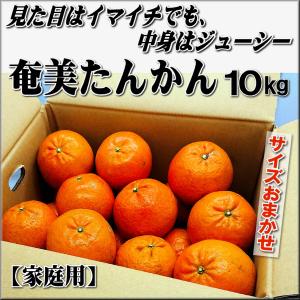奄美たんかん 家庭用 10kg 見た目はイマイチでも、中身はジューシー ２月中旬発送 予約販売 光センサーで糖度計測