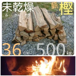 未乾燥薪（樫・カシ）長さ36cm　約500kg　焚火　薪ストーブ　暖炉　ピザ窯　キャンプ　ソロキャンプ　アウトドア　バーベキュー　薪ボイラー　に大活躍｜amawood