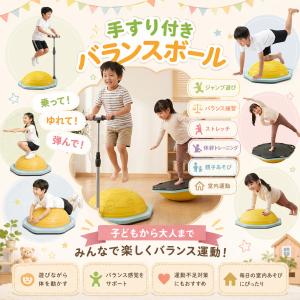 [再入荷]バランスボール 手すり付き 半円型 ...の詳細画像4