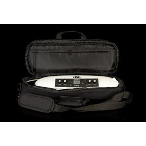moog THEREMINI GIG BAG テルミニ用ギグバック GIG BAG FOR THEREMINI