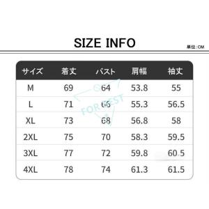 ハーフジップ プルオーバー メンズ ウインドブ...の詳細画像1