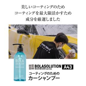 カーシャンプー コーティング用 Bolasol...の詳細画像4