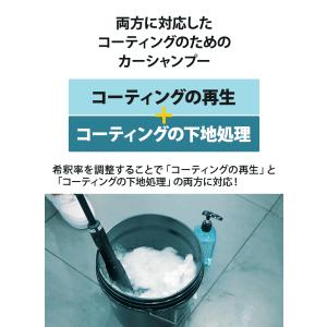カーシャンプー コーティング用 Bolasol...の詳細画像5