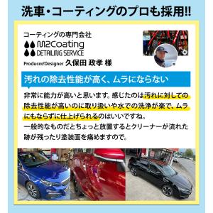 タイヤクリーナー ホイールクリーナー 車 茶色...の詳細画像2