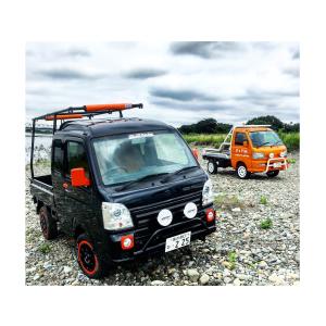 はろーすぺしゃる ハロースペシャル 軽トラック汎用 リアウイング