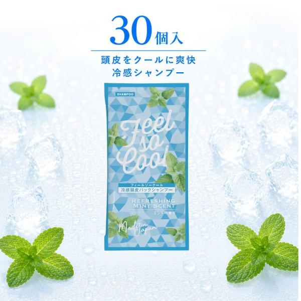 フィード 冷感クールシャンプー フィールソークール 12mL 30個セット メントール 爽快 夏  ...