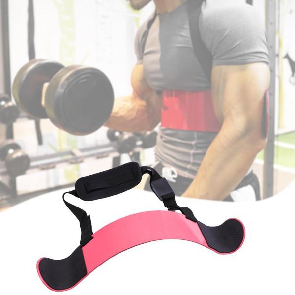 上腕二頭筋、上腕三頭筋用アームブラスター、ホームジム用上腕二頭筋カールアイソレーター