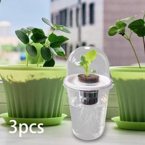 水耕栽培システムキット キャノーラ芝生 水耕栽培...の商品画像