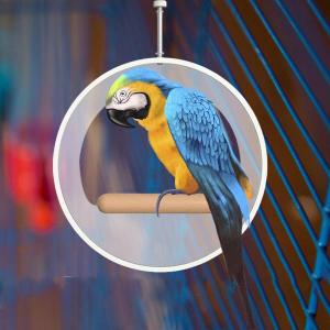 オウムスタンド ケージ 鳥 コニュア ハムスタ...の詳細画像4
