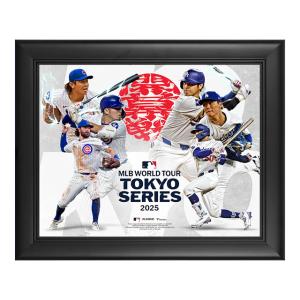 MLB 大谷翔平 ドジャース フォトフレーム 【海外版】ワールド