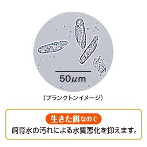 GEX 生きたプランクトンフードPLUS 飼育...の詳細画像3