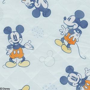 ディズニー ひんやり枕パッド ファンファンスマ...の詳細画像2
