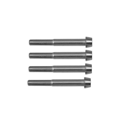 ラジアルキャリパー マウントスクリュー：M10×80mm