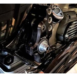 Harley Davidson（ハーレー・ダビッドソン） スカル ダービーカバー