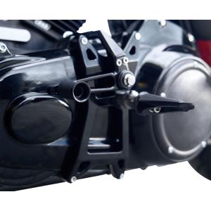 Harley Davidson（ハーレー・ダビッドソン） ミッドコントロール