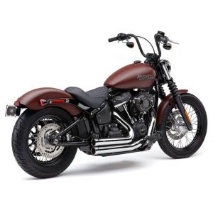 Harley Davidson（ハーレー・ダビッドソン） COBRA 3インチ RPT