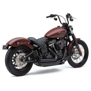 Harley Davidson（ハーレー・ダビッドソン） COBRA 3インチ RPT