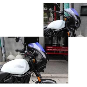 ビキニカウル X500 カウル:未塗装（黒ゲルコート仕上げ） スクリーン:スモーク 2024年以降X500