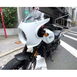 ビキニカウル X500 カウル:ホワイトパール...の詳細画像1