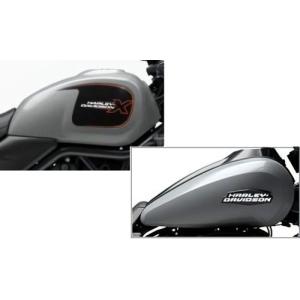 ビキニカウル X500 カウル:アトラスシルバ...の詳細画像1