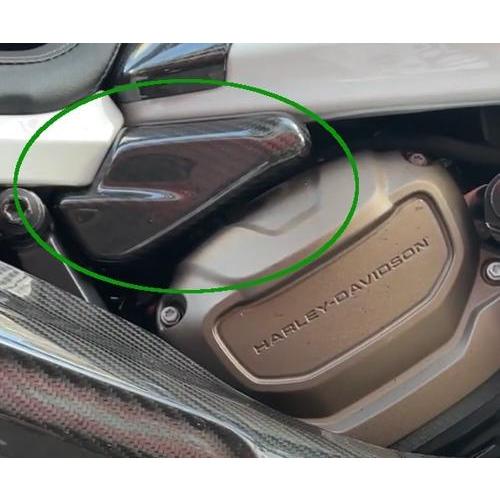 ドライカーボン リアフレームカバー【左右セット】 スポーツスターS用 2021年以降RH1250S