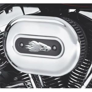 Harley Davidson（ハーレー・ダビッドソン） チゼル・エクストリーム