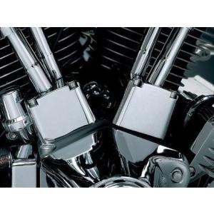 Harley Davidson（ハーレー・ダビッドソン） FLH ポイントカバー:1970