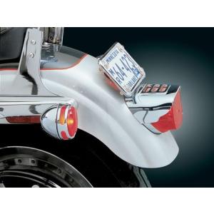 Harley Davidson（ハーレー・ダビッドソン） 2in1 エキゾースト