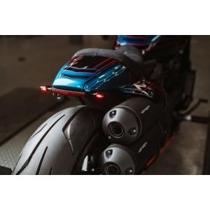 Harley Davidson（ハーレー・ダビッドソン） ローダウンキット