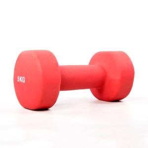 Absport プラスチック コーティングダンベル 5KG ヨガ フィットネス 磨き砂素材 二個セット Absport Z91593