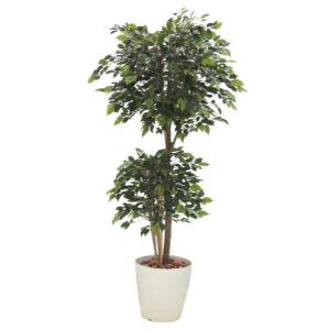 ベンジャミン スターライト 110cm (フェイクグリーン リアル 店舗 ミニ