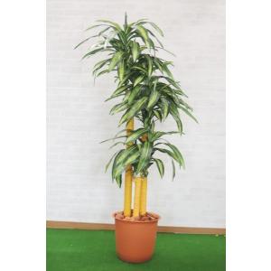 ドラセナ コンシンネ 150cm (ユッカ フェイクグリーン 樹木 人工観葉