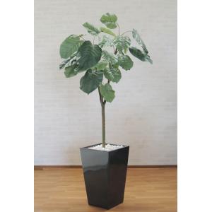 ウンベラータ 180cm(人工観葉植物 造花 1.8m インテリア おしゃれ 室内 鉢植え 大型)｜ambix