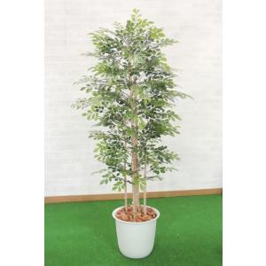 シマトネリコ 150cm （造花 人工植物 インテリア フェイク 1.5m おしゃれ 室内 樹木 中型 植栽 装飾 飾り）｜ambix