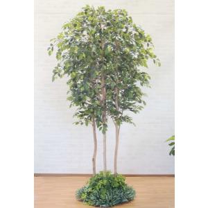 大型サイズ ベンジャミン 立ち木　高さ250cm 装飾付き (フェイク グリーン 人工観葉植物 造花 樹木 造木 インテリア 室内 植栽 アイテム)