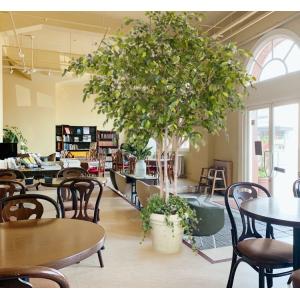 大型商品 ベンジャミン 組み立て式 250cm (造花 インテリア 人工観葉植物 フェイク グリーン 植栽 アイテム 飾り)