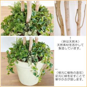 大型商品 ベンジャミン 組み立て式 250cm...の詳細画像5