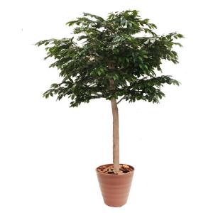 光触媒　人工観葉植物　フェイクグリーン　ジャイアントポトス高さ180センチd 大きな葉 ジャイアント ポトス タワー 180cm (インテリア グリーン