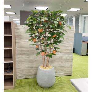 梨 の木 180cm (ナシ なし 造花 人工 観葉植物 鉢植え 室内 おしゃれ インテリア グリーン オリジナル 製作元 メーカー)