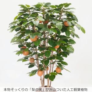 梨 の木 180cm (ナシ なし 造花 人工...の詳細画像2