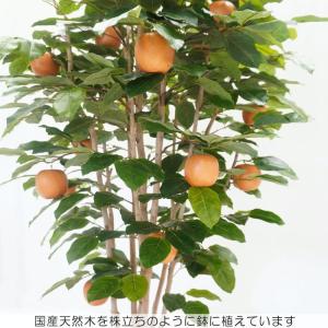 梨 の木 180cm (ナシ なし 造花 人工...の詳細画像3