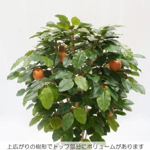 梨 の木 180cm (ナシ なし 造花 人工...の詳細画像4