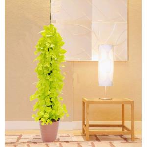 大きな葉 ジャイアント ポトス タワー 180cm (インテリア グリーン