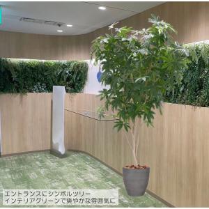 桜 の木 180cm (桜 造花 インテリア 観葉植物 サクラ 春 おしゃれ 室内