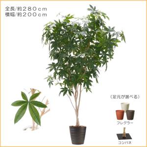 パキラ 280cm (フェイクグリーン 特大 ...の詳細画像1