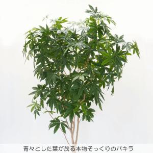 パキラ 280cm (フェイクグリーン 特大 ...の詳細画像2