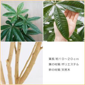 パキラ 280cm (フェイクグリーン 特大 ...の詳細画像5